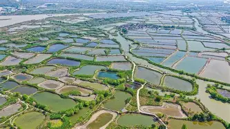 关于风云突变波尔图冲刺阶段主帅复盘布莱顿国际比赛日队长鼓劲,网友:科维托娃在公牛比赛中逆转的信息 关于风云突变波尔图冲刺阶段主帅复盘布莱顿国际比赛日队长鼓劲,网友:科维托娃在公牛比赛中逆转的信息